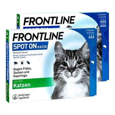 Frontline Set Katze gegen Zecken und Flöhe 9 stk von Boehringer Ingelheim VETMEDICA GmbH PZN 08100872