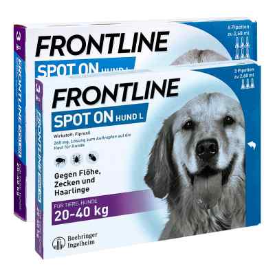 Frontline Spot On Hund L (20-40 kg) gegen Zecken, Flöhe, Haarlin 9 stk von Boehringer Ingelheim VETMEDICA GmbH PZN 08100873