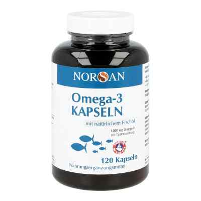 Omega 3 Vegan Algenöl flüssig Norsan 100 ml
